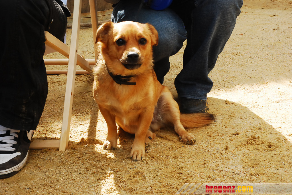 DSC_2504_JPG-1283095013