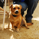 Szenecheck @ Beachbar