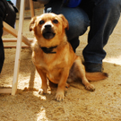 DSC_2505_JPG-1283095024