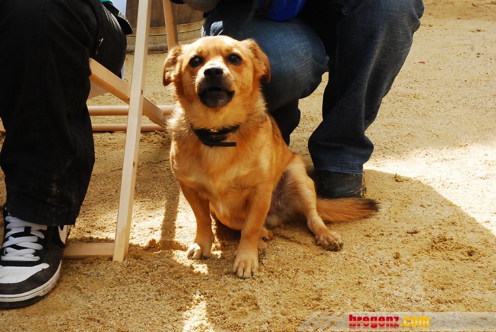 DSC_2505_JPG-1283095024