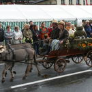 normal_290810heuartgmaktivnews__18_.jpg