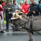normal_290810heuartgmaktivnews__19_.jpg