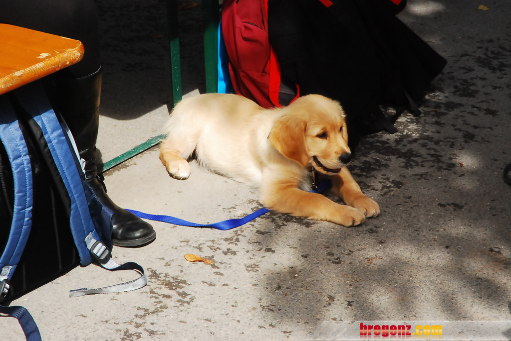 DSC_2415_JPG-1283095743