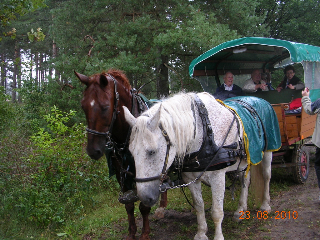 Ausflug 22 -26 8 2010 HamburgL__neburger Heide 083.JPG