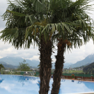 KOE_B__rgeraktion Schwimmbad Felsenau 9_jpg-1283113573