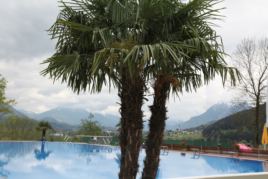 KOE_B__rgeraktion Schwimmbad Felsenau 9_jpg-1283113573