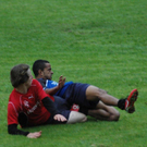 DSC_2006.jpg