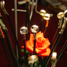 IMG_4986.JPG