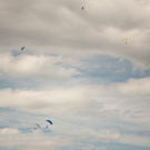 DSC_9347.jpg