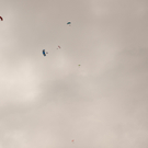 DSC_9387.jpg