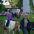 normal_29082010bauernherbstfmaktivnews_07.jpg