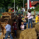 normal_29082010bauernherbstfmaktivnews_28.jpg