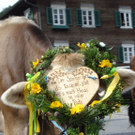DSC02567.JPG