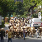 Unbenannt-1.jpg