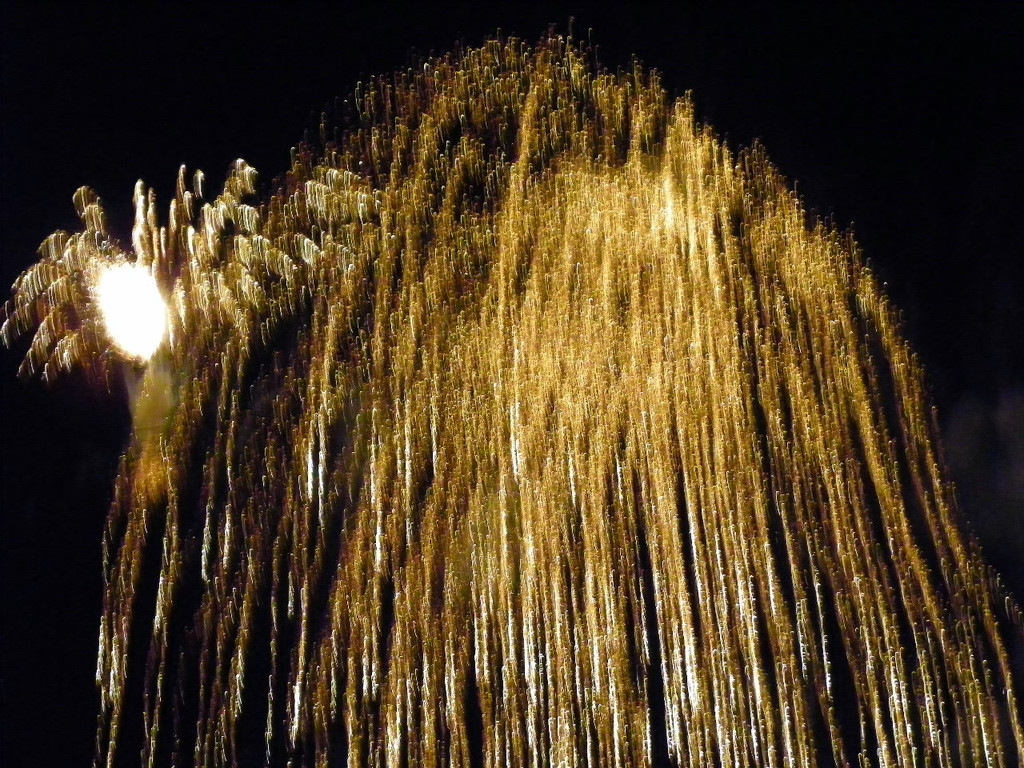 105_4819_jpg-1283177352