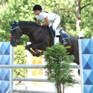 Reitturnier Dornbirn