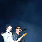 u237.jpg