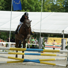 DSC06836_jpg-1283246550