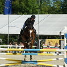 DSC06857_jpg-1283246560