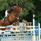 DSC07486_jpg-1283246756