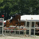 DSC07691_jpg-1283246803
