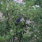 normal_31082010vub156ffaktivnews_163.jpg