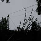 Bilder vom Unfallort
