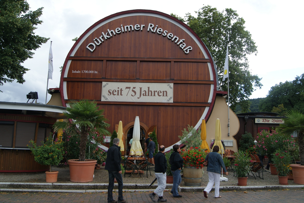 DSC08579_JPG-1283265294