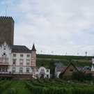 DSC08788_JPG-1283265692
