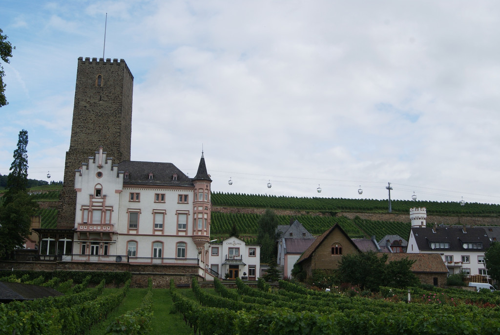 DSC08788_JPG-1283265692