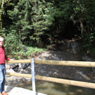 IMG_1621_1.jpg