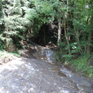 IMG_1622_1.jpg