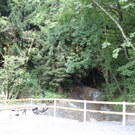 IMG_1629_1.jpg