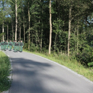 02092010suchemordrosenheimfibaktivnews_20_31_.jpg