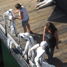 IMG_0451_JPG-1283513679