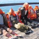 IMG_0476_JPG-1283513692