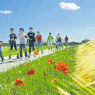 Das Skaterparadies in Brandenburg