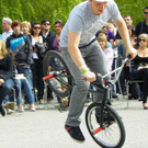 BMX Show