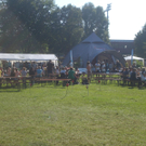 Freakwave Festival 2010 in Bregenz