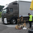 B_ Kraftfahrer WM 010 185_jpg-1283598050
