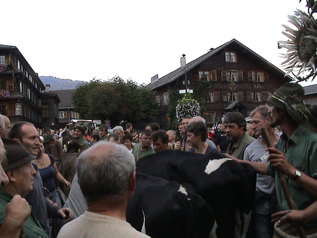 DSC09130.JPG