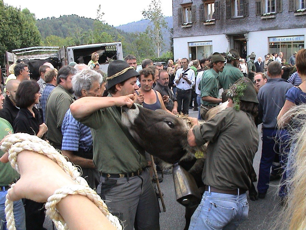 DSC09136.JPG