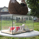 Hoffest 033.jpg