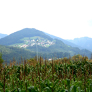 DSC00450_JPG-1283687858