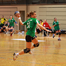 waibel titel_JPG-1283693566