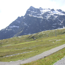 PICT0235.JPG