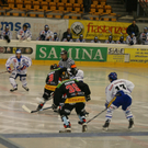 DSC07146_JPG-1283753301