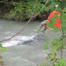 VU_Almdorf3-05_09_10.jpg