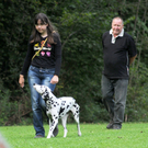 a Hundefreunde Egg 04_09_2010 7_jpg-1283771699