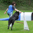 a Hundefreunde Egg 04_09_2010 29_jpg-1283771772